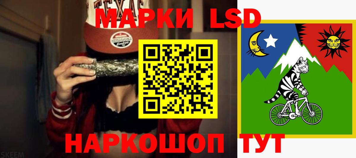 OMG онион  Вход с VPN  Лсд 25 экстази ecstasy  Нижнеудинск  ЛСД экстази ecstasy 