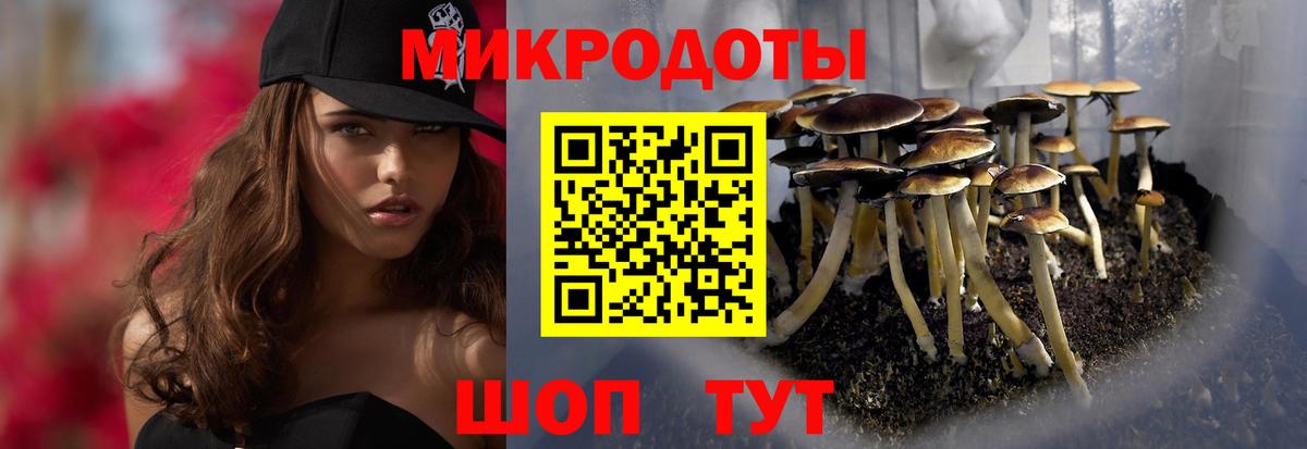 Галлюциногенные грибы мицелий  Вход с VPN  Нижнеудинск 